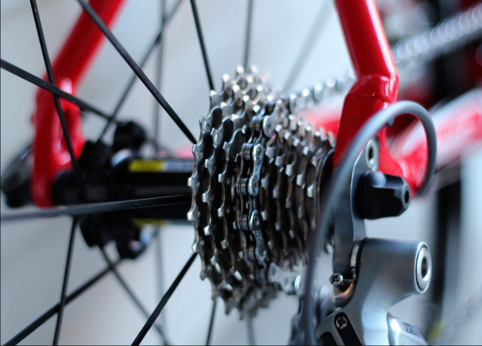 A bicycle's gears up close.